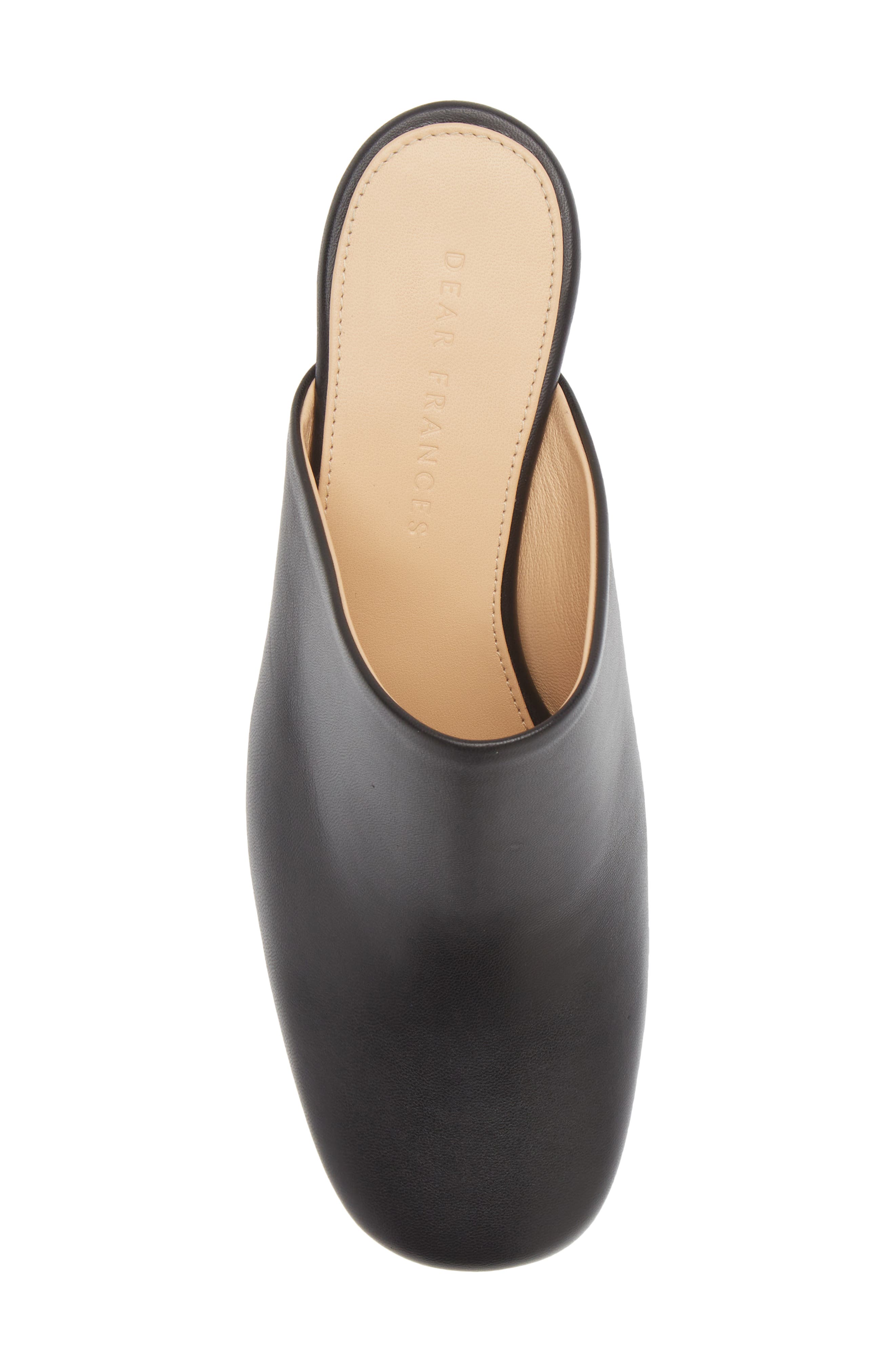 Dear Frances Flo Mule, Alternate, color, 