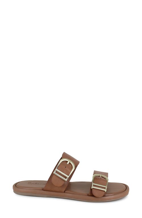 Splendid Women's Farrin Slip On Buckled Slide Sandals In Macchiato