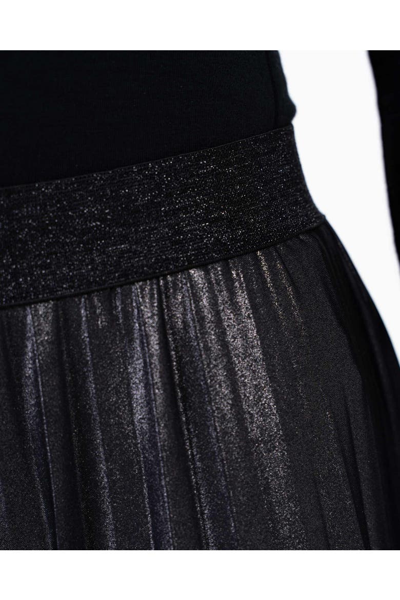 Metallic Full Pleated Skirt, Alternate, color, Charcoal Shimmer