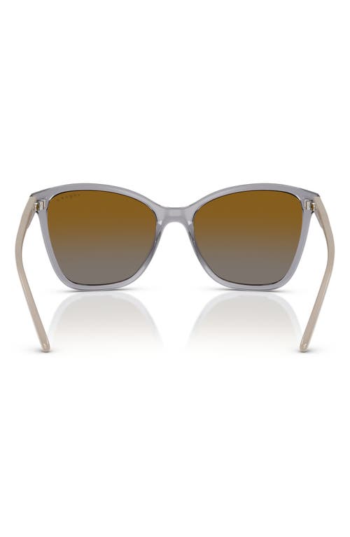 Vogue 56mm Polarized Butterfly Sunglasses In Transparent Grey