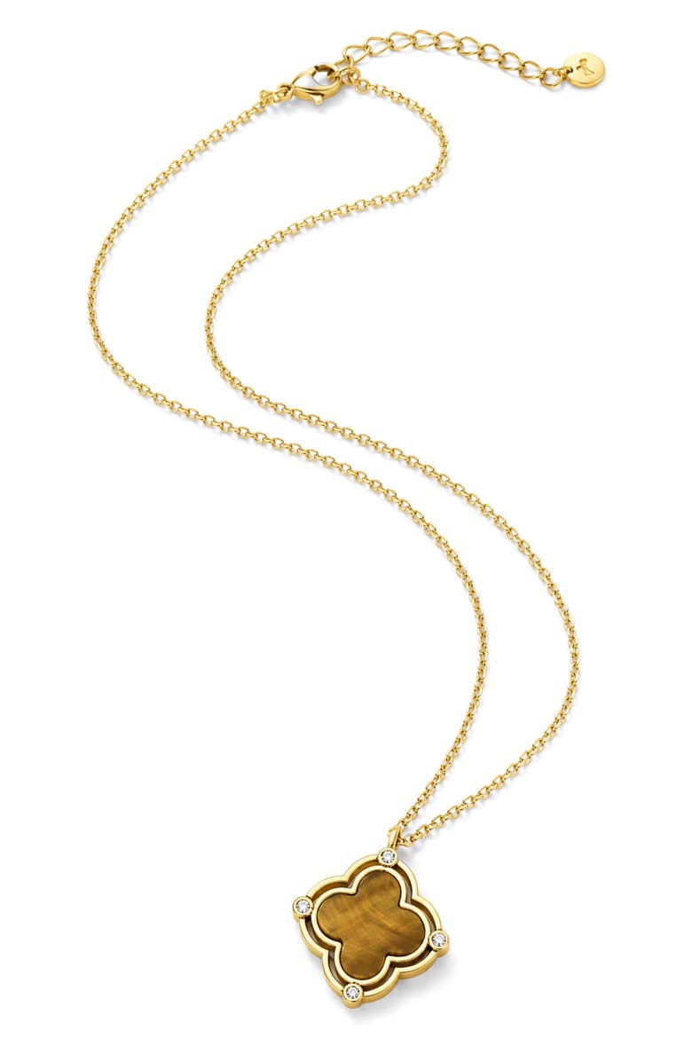 Amelia 14k Gold Plated Tiger's Eye Necklace, Alternate, color, GOLD