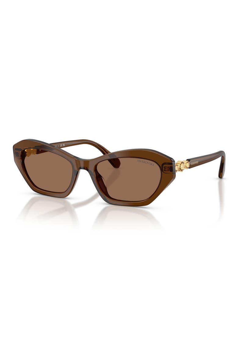 54mm Cat Eye Sunglasses, Alternate, color, TRANSPARENT BROWN / DARK BROWN