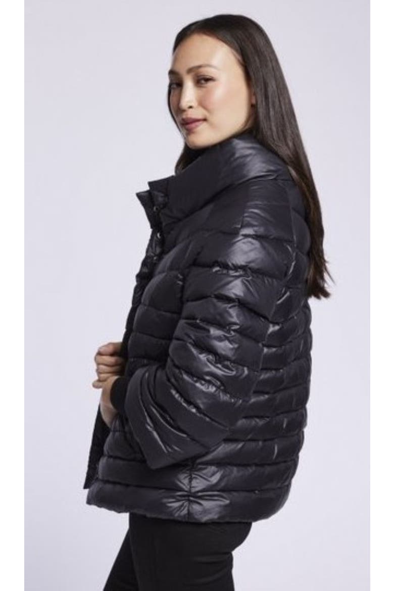 Down Jacket, Alternate, color, BLACK
