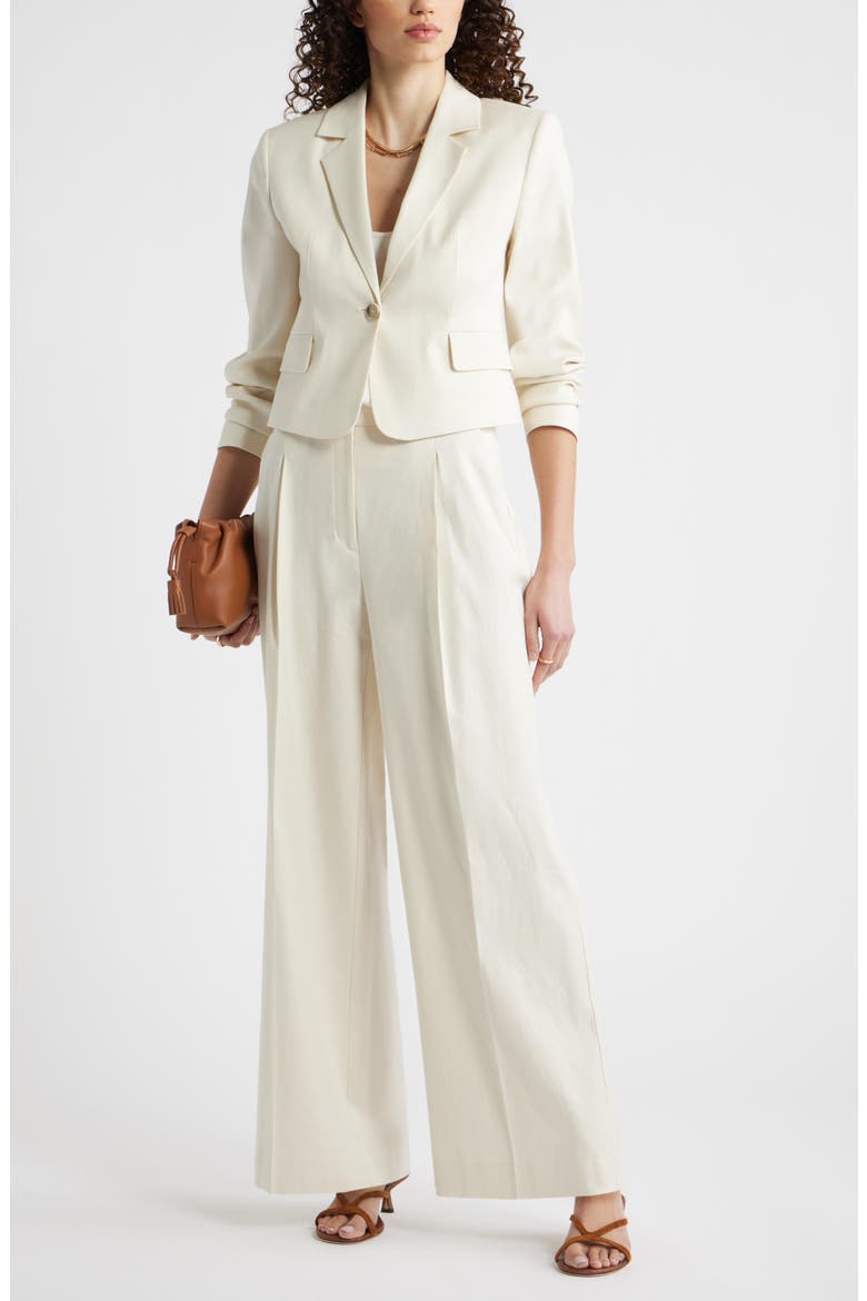 Pleated Linen Blend Wide Leg Pants, Alternate, color, IVORY BIRCH