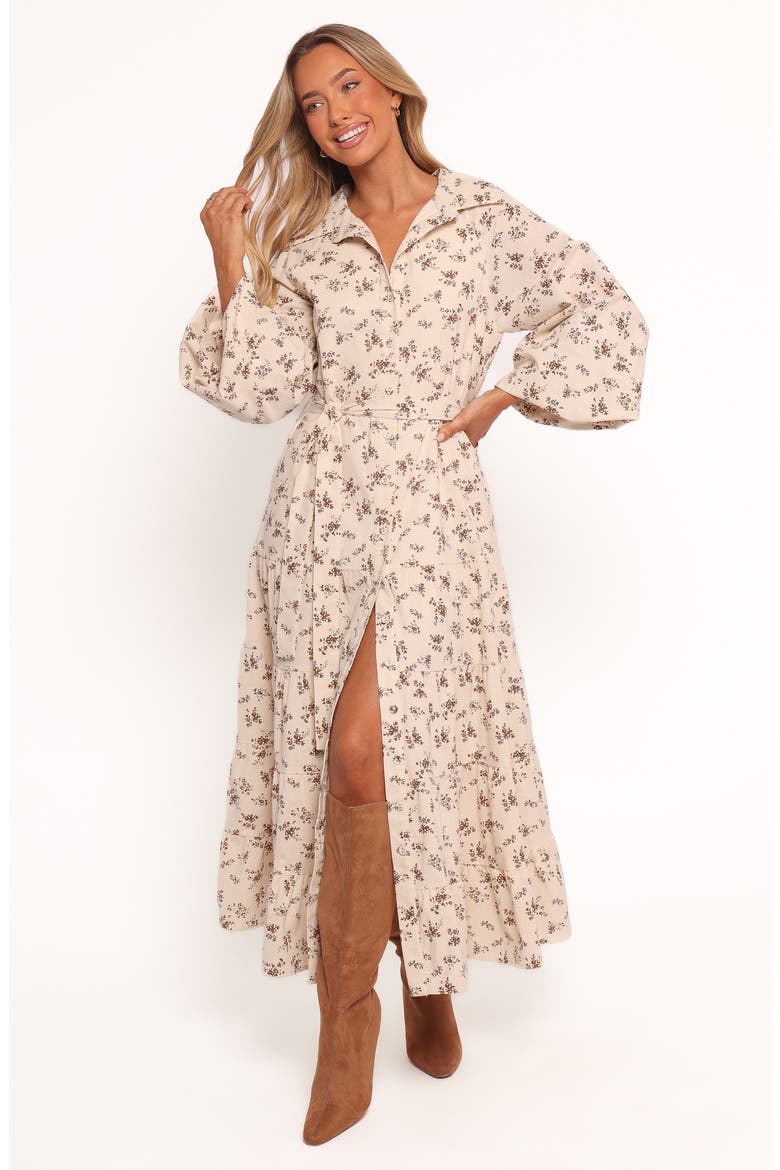 Lincoln Tie Waist Long Sleeve Maxi Dress, Alternate, color, FLORAL