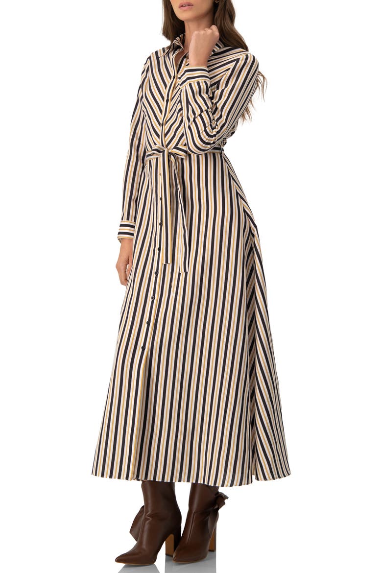 Long Striped Shirt Dress, Alternate, color, Striped