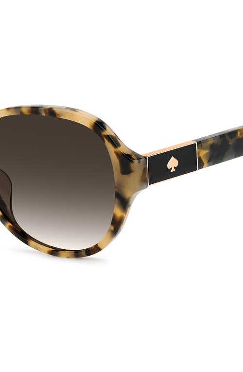 Kate Spade New York Emalie 56mm Gradient Oval Sunglasses In Havana/brown Sf
