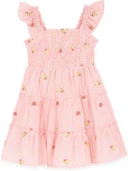 Rare Editions Kids' Embroidered Seersucker Smocked Dress