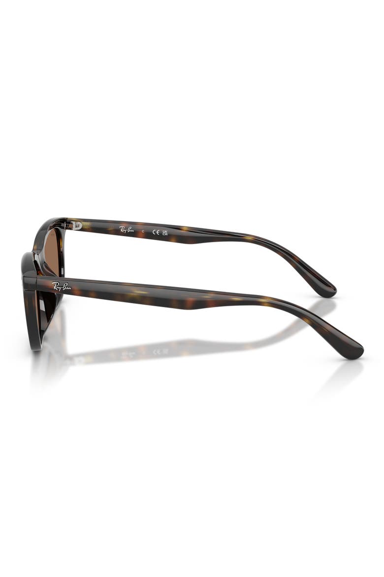 54mm Irregular Sunglasses, Alternate, color, HAVANA / DARK BROWN