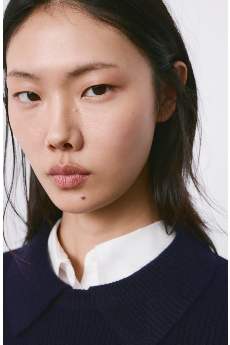 Polo Sweater, Alternate, color, DARK NAVY