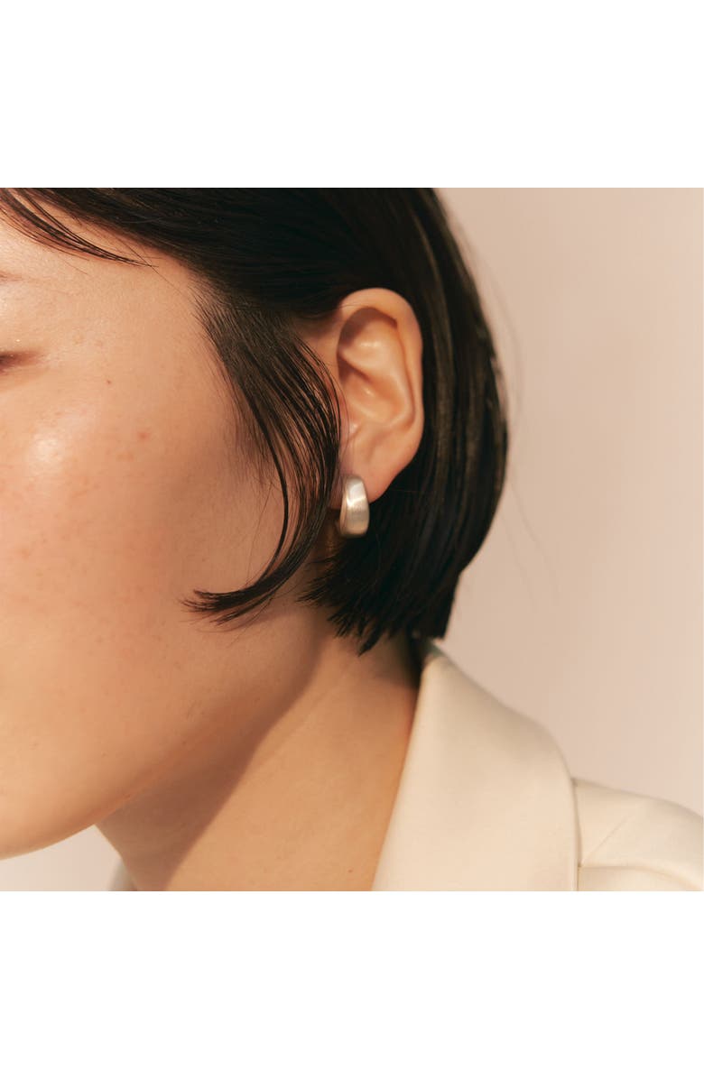 LOUPN Curved Earrings, Alternate, color, Silver