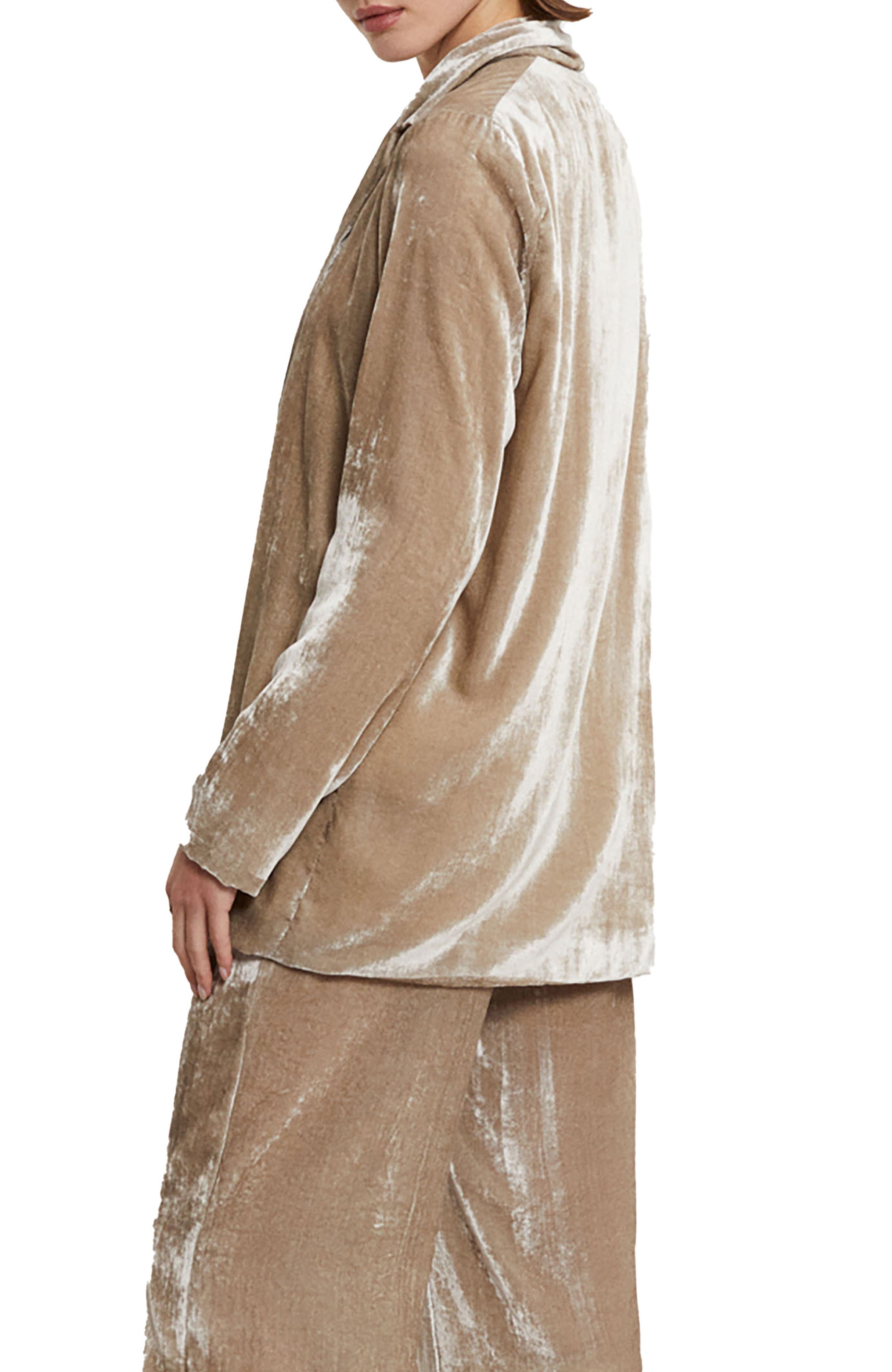 Velvet Blazer - image 2