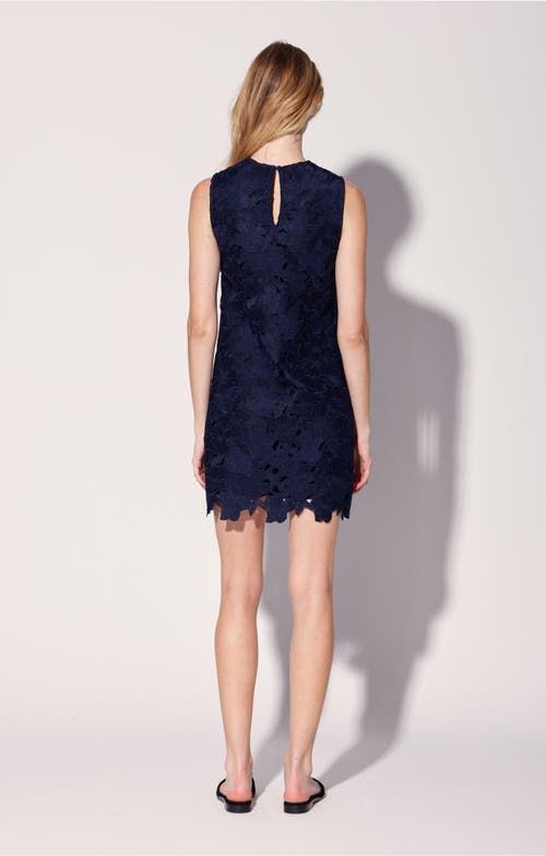Shop Walter Baker Odessa Dress In Bluebell Lace