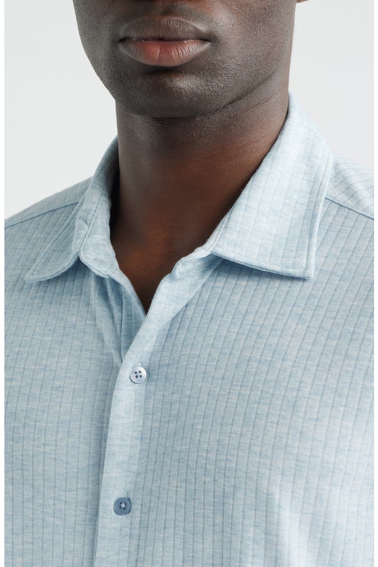 Anton Knit Button-Up Polo, Alternate, color, FRESH BLUE