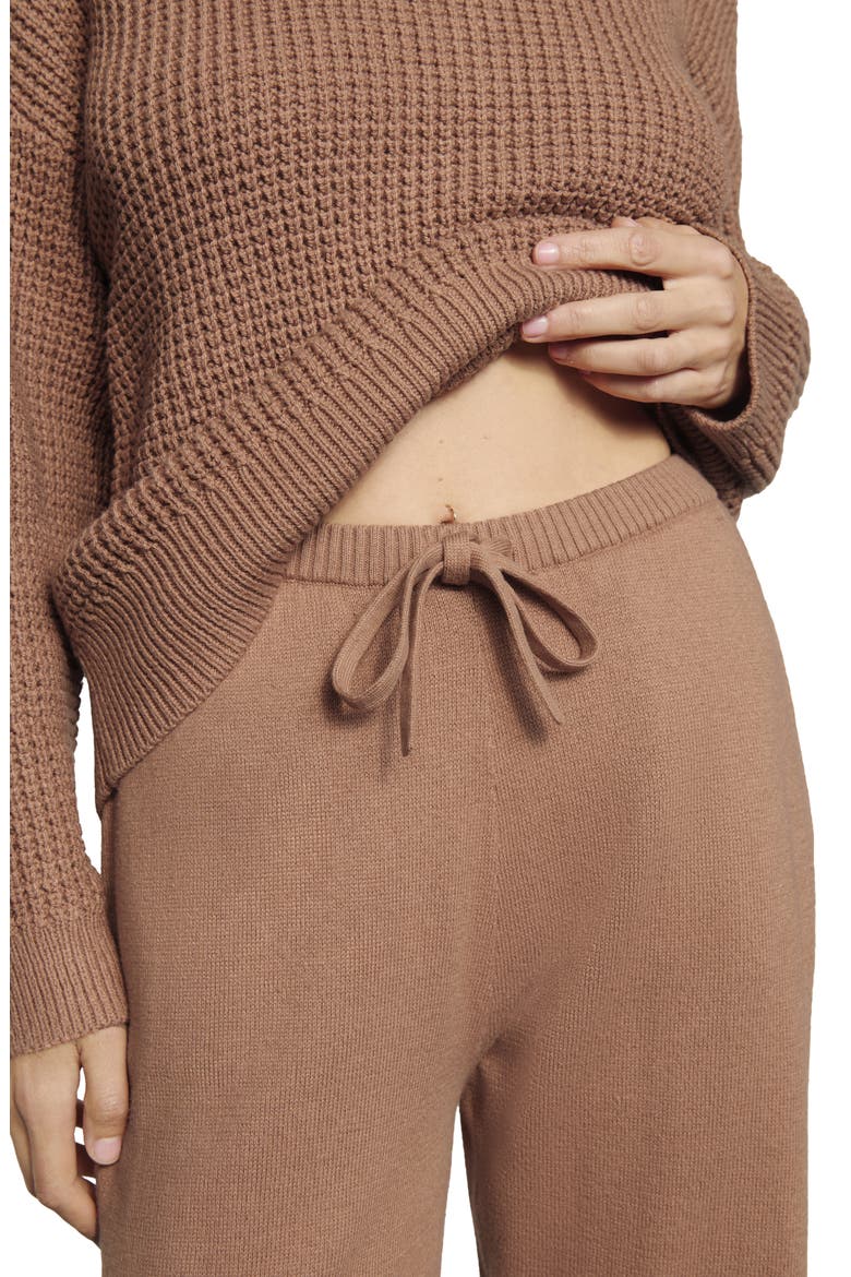 Tie Waist Sweater Pants, Alternate, color, HAZELNUT