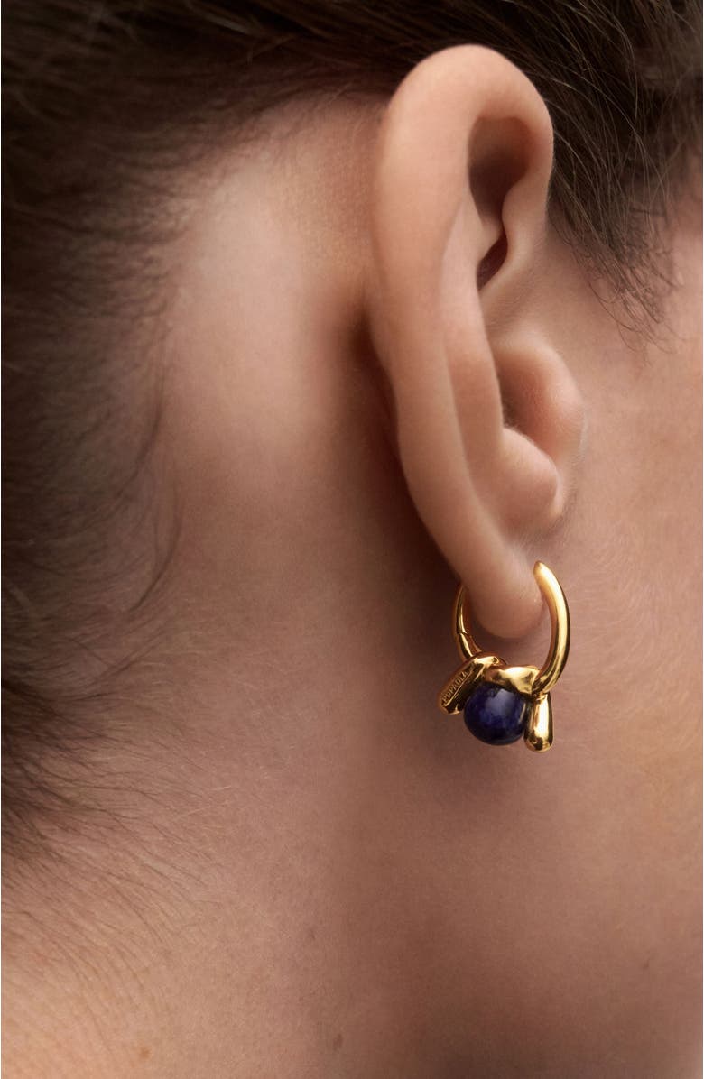 PDPAOLA Nexus Hoops, Alternate, color,