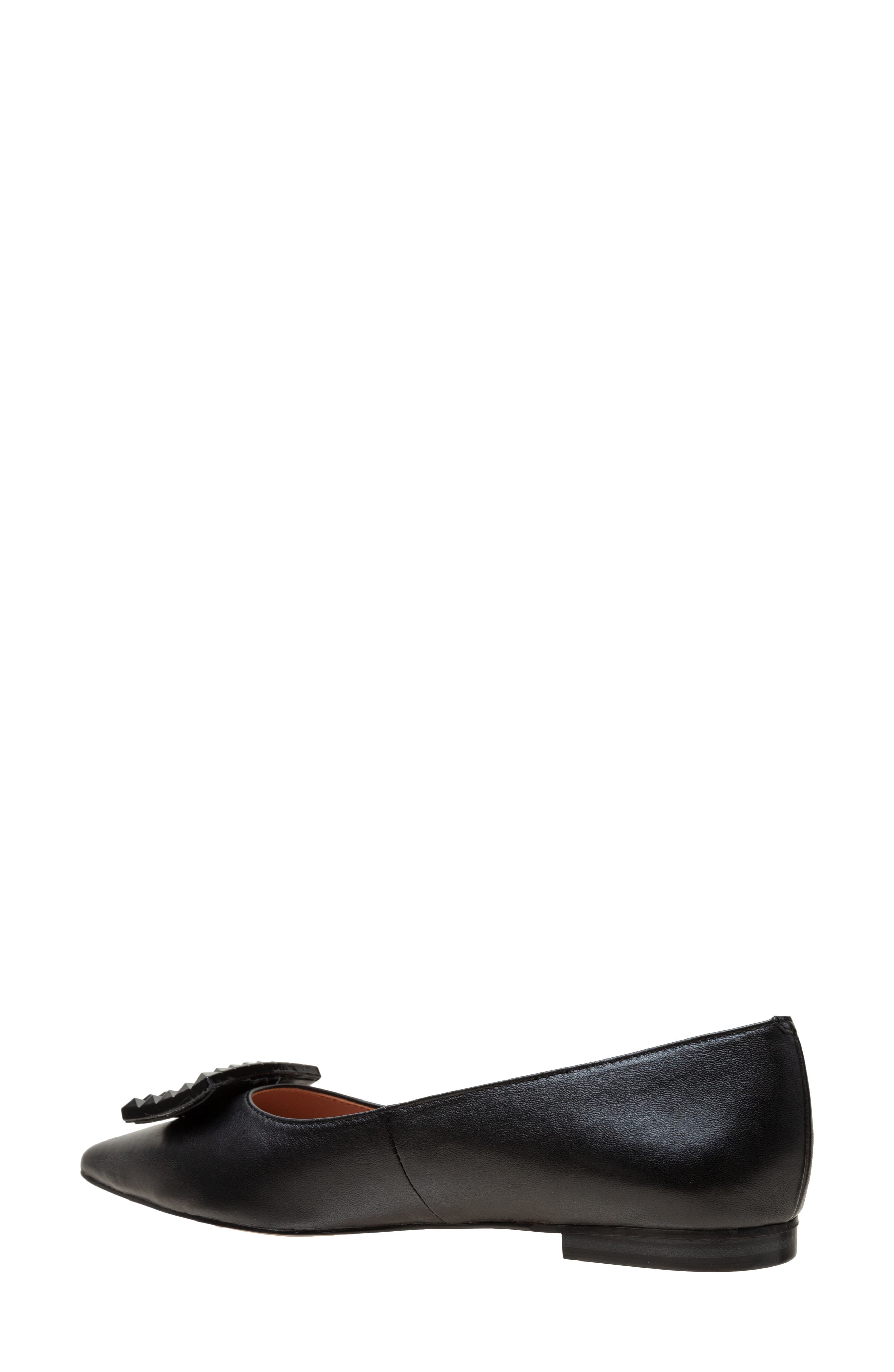 Linea Paolo Nolene Pointed Toe Flat, Alternate, color, Black