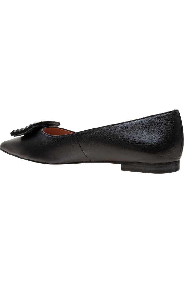 Linea Paolo Nolene Pointed Toe Flat, Alternate, color, Black