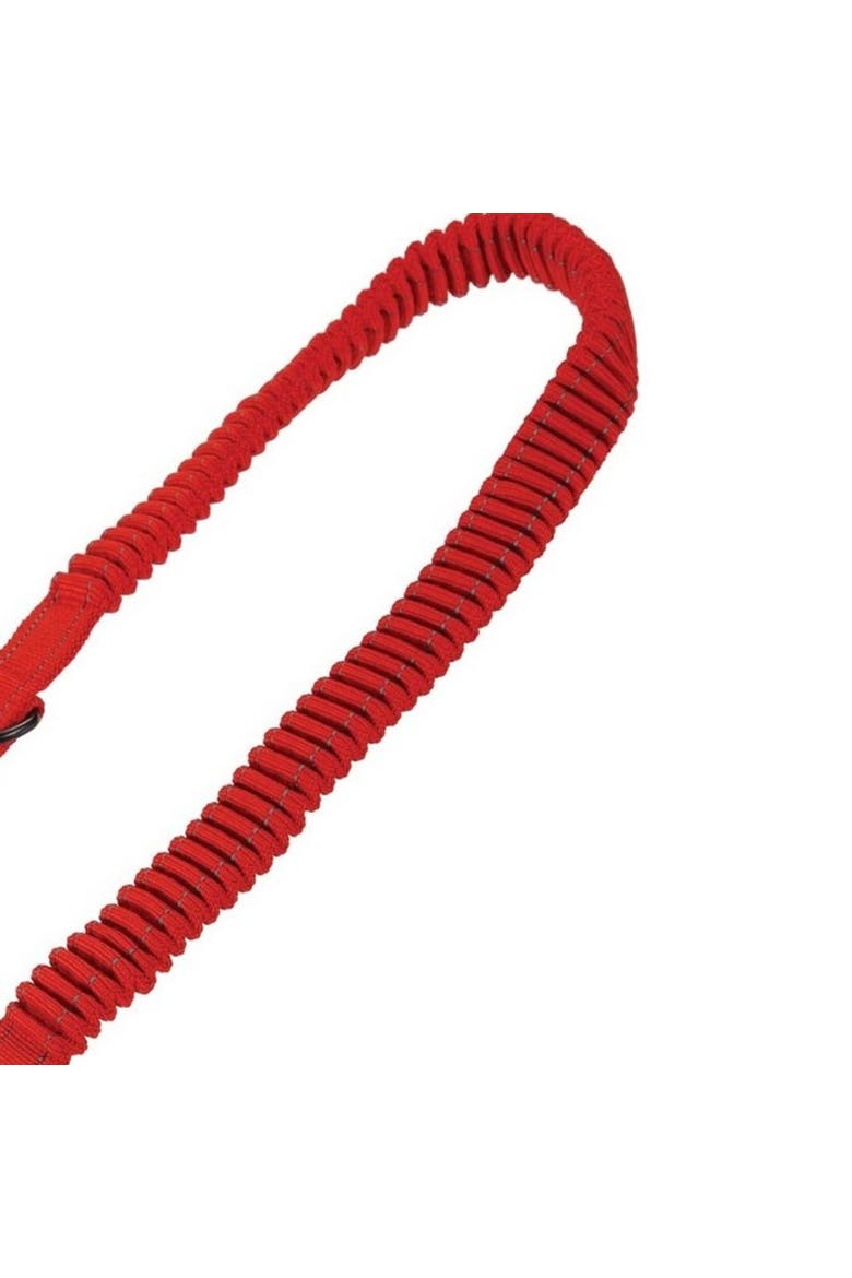 Dog Lead, Alternate, color, Red