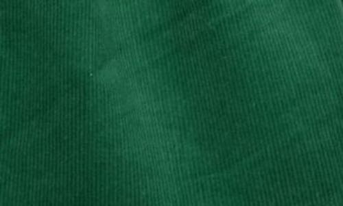 Iris & Ivy Holly Peter Pan Collar Dress In Green