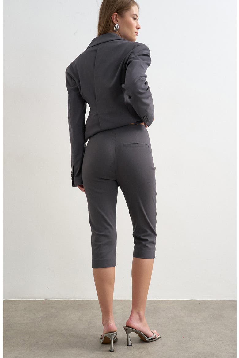 Bengaline Capri Pants, Alternate, color, CHARCOAL