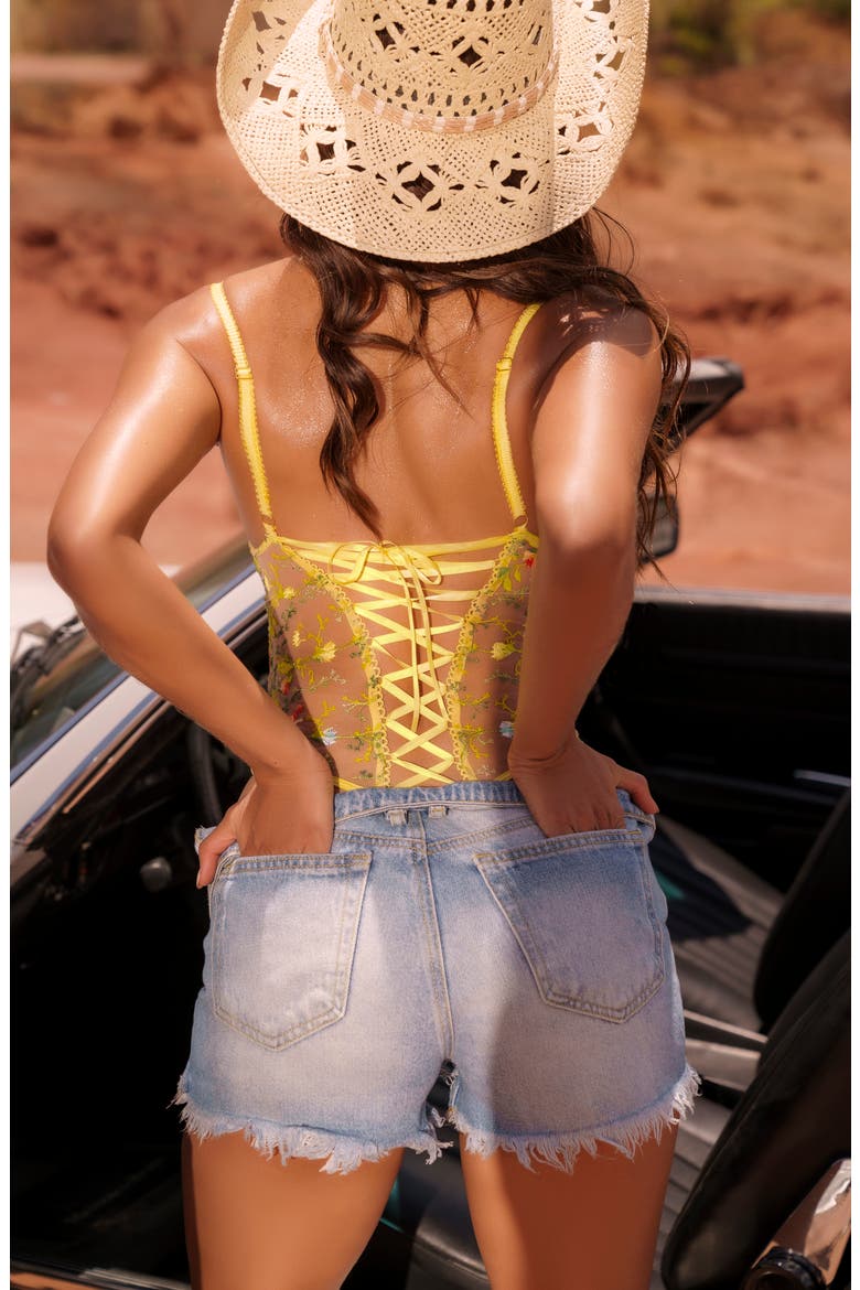 Lace-Up Embrodiered Mesh Underwire Teddy, Alternate, color, SUNLIT BLISS