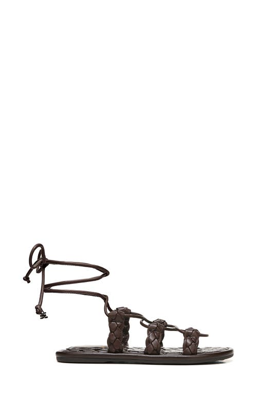 Sam Edelman Zariah Sandal In Dark Chocolate