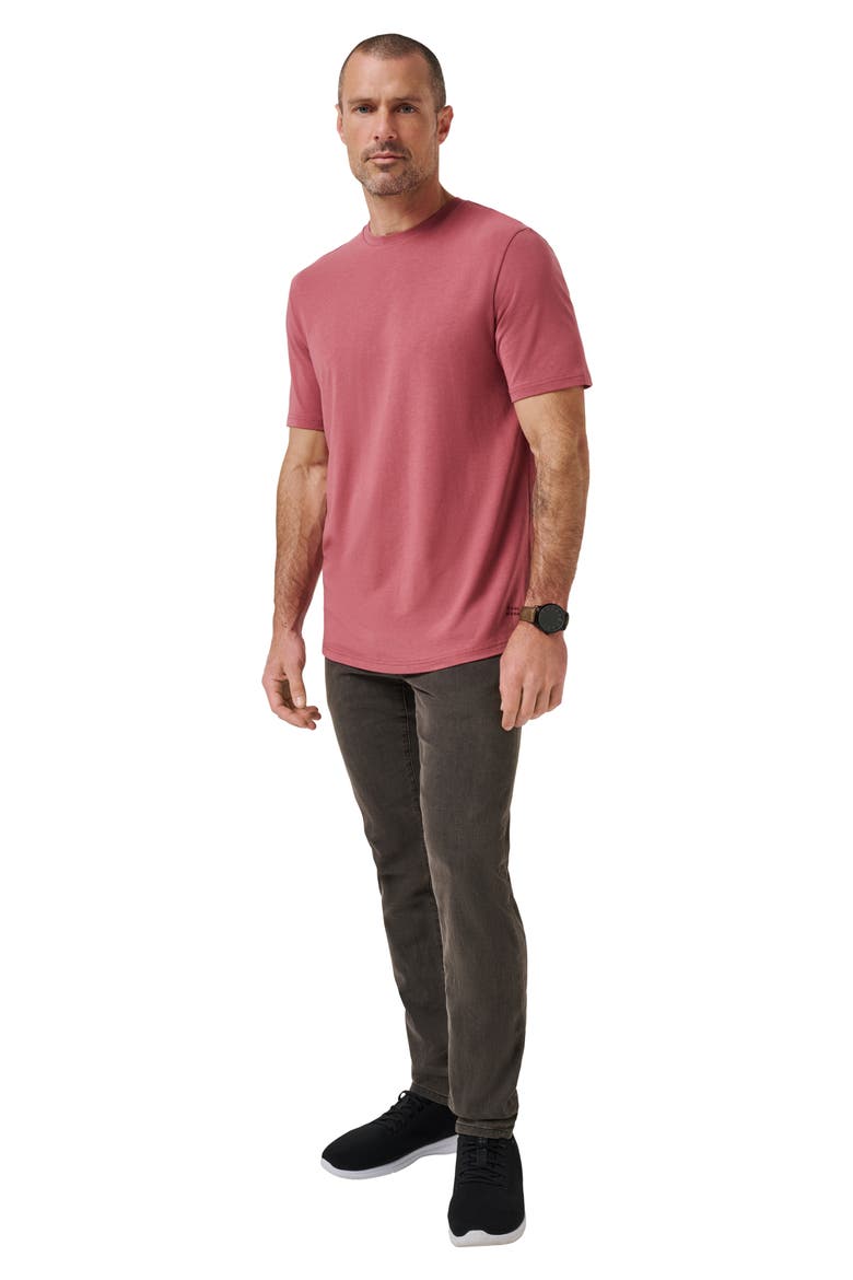 Cloud Crewneck T-Shirt, Alternate, color, ROAN ROUGE