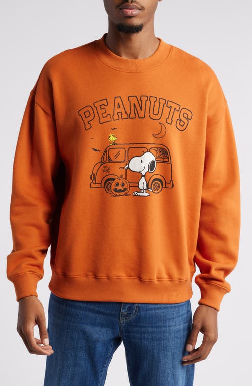 Vinyl Icons x Peanuts Halloween Van Fleece Crewneck Sweatshirt in Rust 