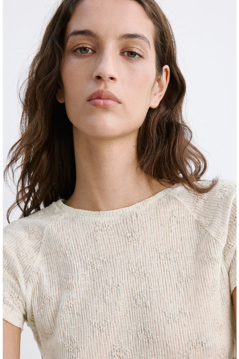Raised Embroidery T-Shirt, Alternate, color, ECRU