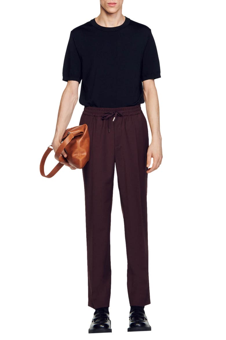 New Alpha Straight Leg Wool Blend Pants, Alternate, color, BLACK BROWN