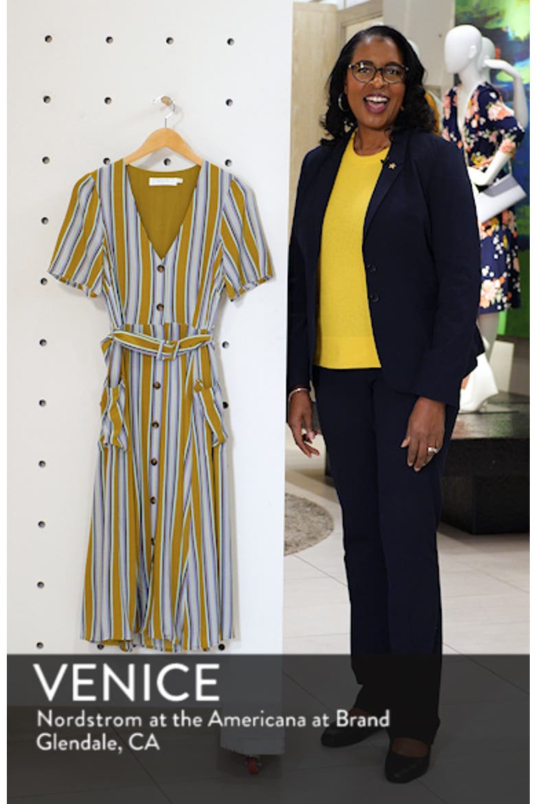 Scout Stripe Dress video