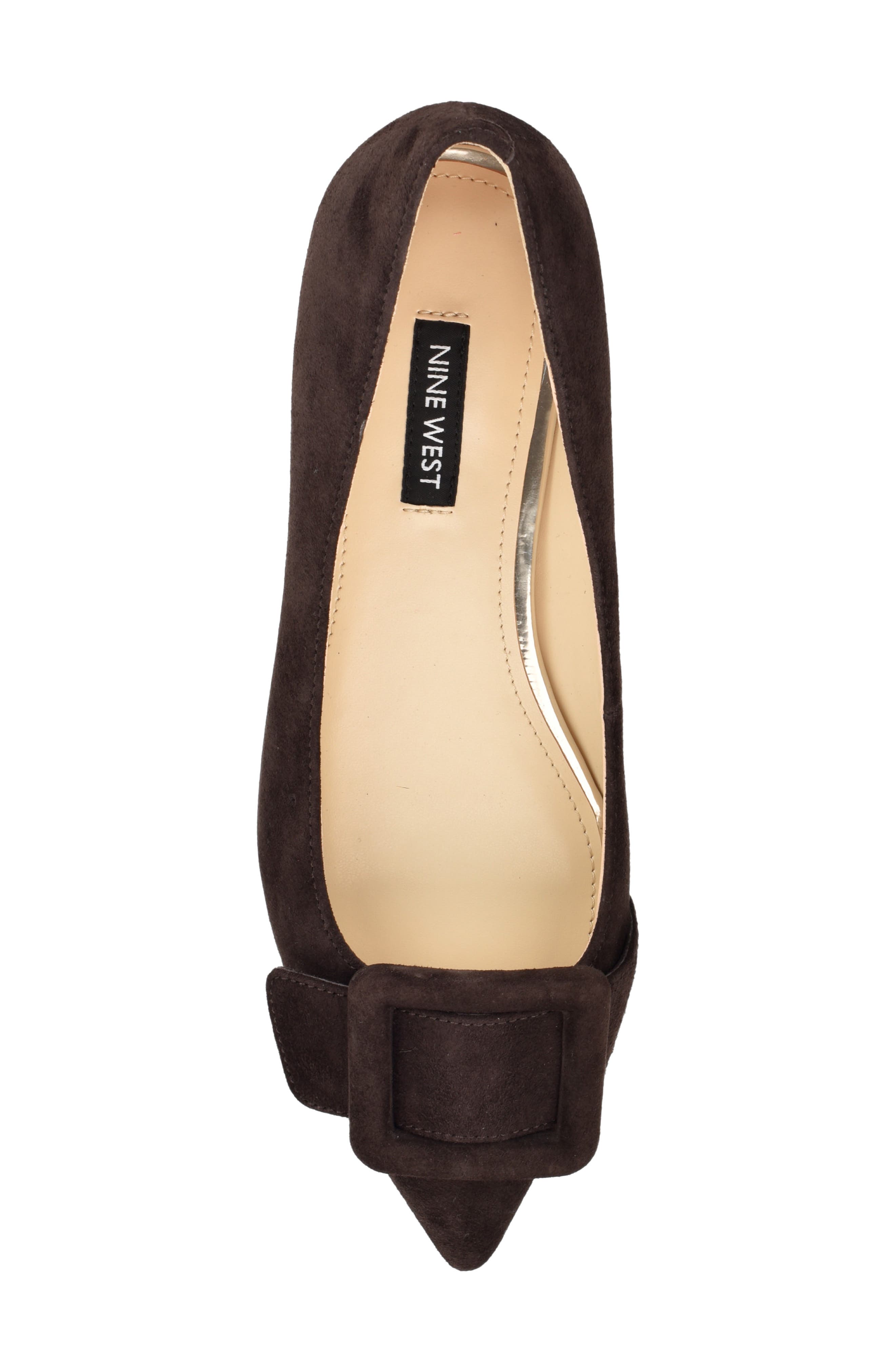 Jesike Pointed Toe Flat, Alternate, color, DARK BROWN