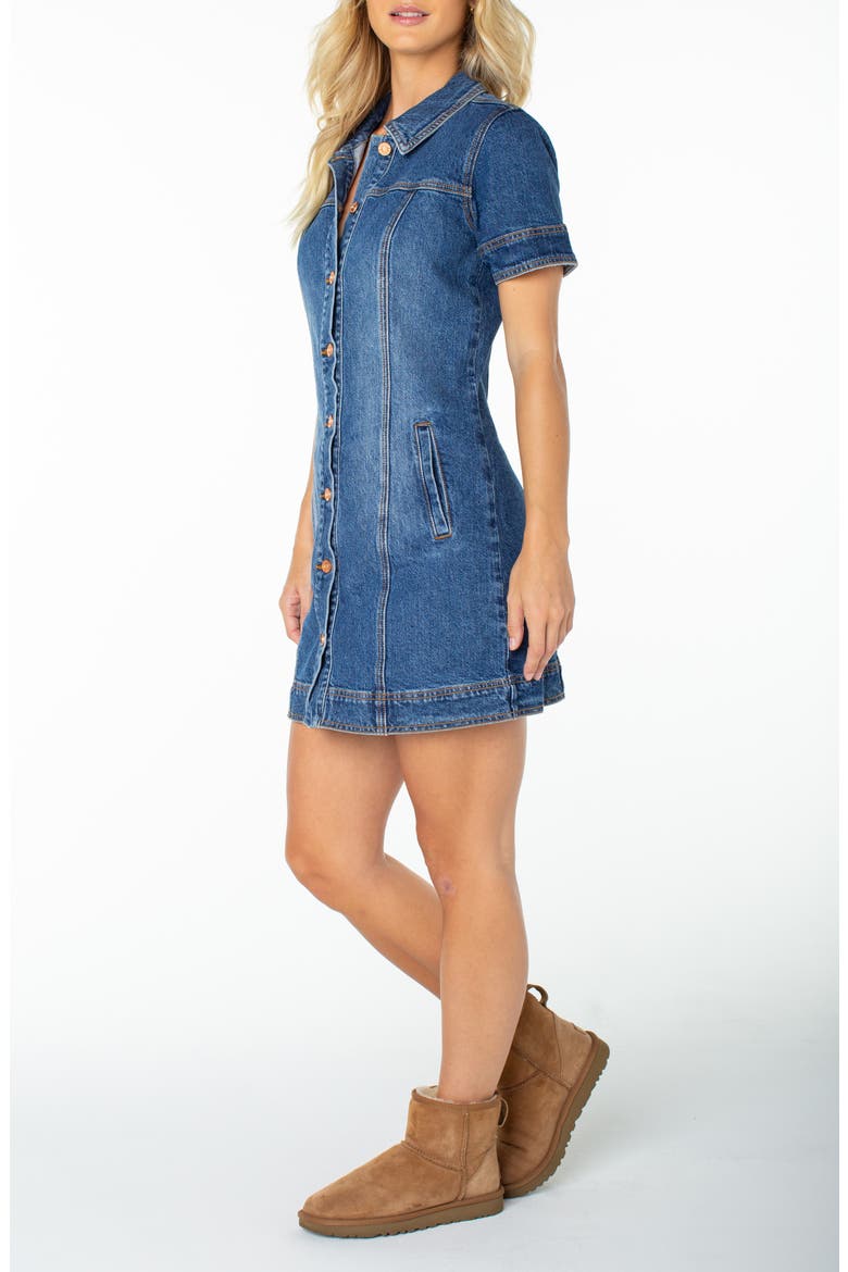 Dusk After Dark Button-Up Minidress, Alternate, color, MIRAGE BLUE