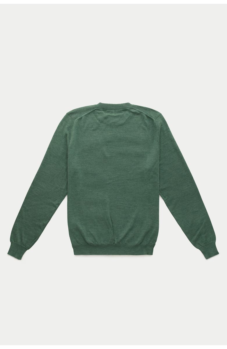 Wolf Vs. Goat (WvG) Wool Crewneck Sweater, Alternate, color, Abete