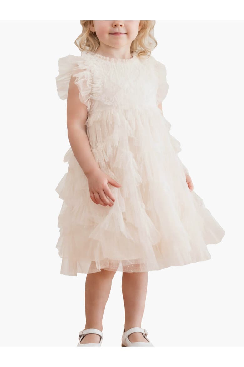 Genevieve Embroidered Ruffle Baby Dress, Alternate, color, Cream