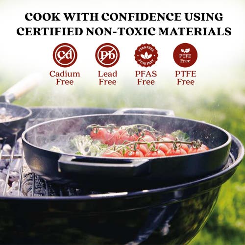 Alva Nori 11in Pre-seasoned Cast Iron Grill Pan In Black