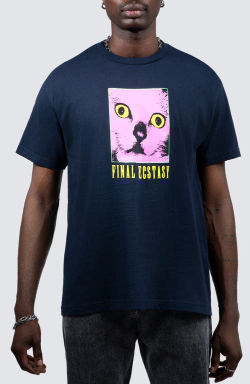 PLEASURES Final Graphic T-Shirt in Navy 