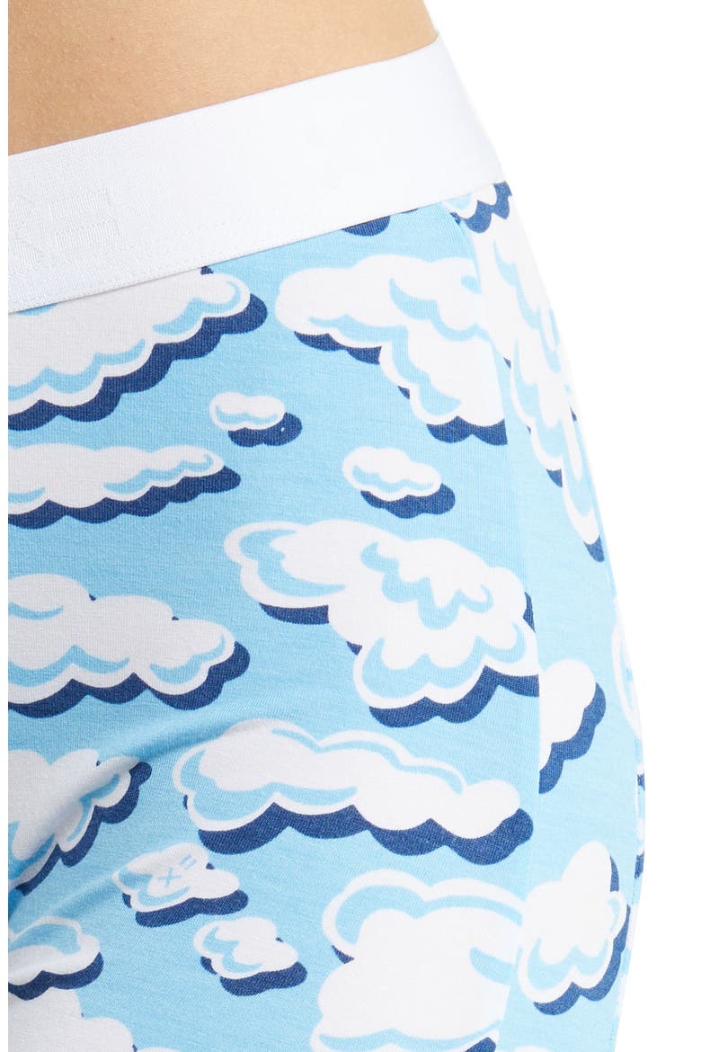 Stretch Modal 9-Inch Boxer Briefs, Alternate, color, IN THE CLOUDS