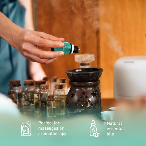 Pursonic Aromatherapy Essentials Bundle With Usb Diffuser, 3-pack Oils, And Lavender Mist Spray In Multi
