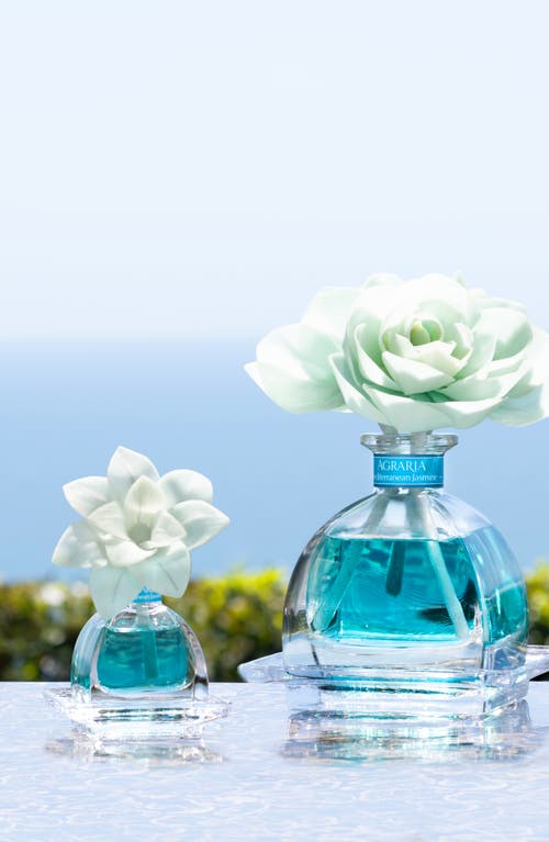 Agraria San Francisco Petiteessence Reed Diffuser In Blue