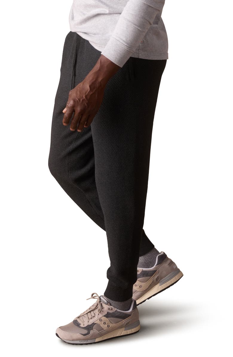 The Normal Brand Textured Cotton Blend Joggers, Alternate, color, 