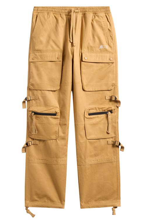 Icecream Big Bag Cotton Twill Cargo Pants In Red