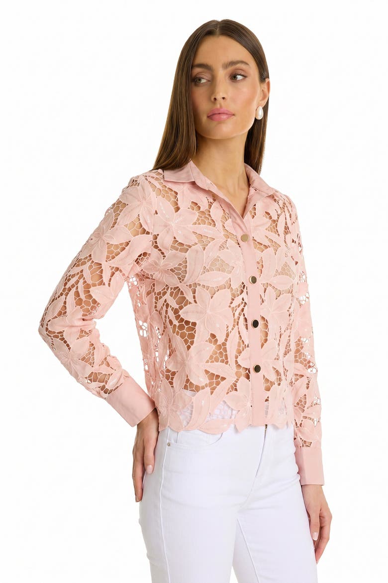 Mina Lace Blouse, Alternate, color, Blush