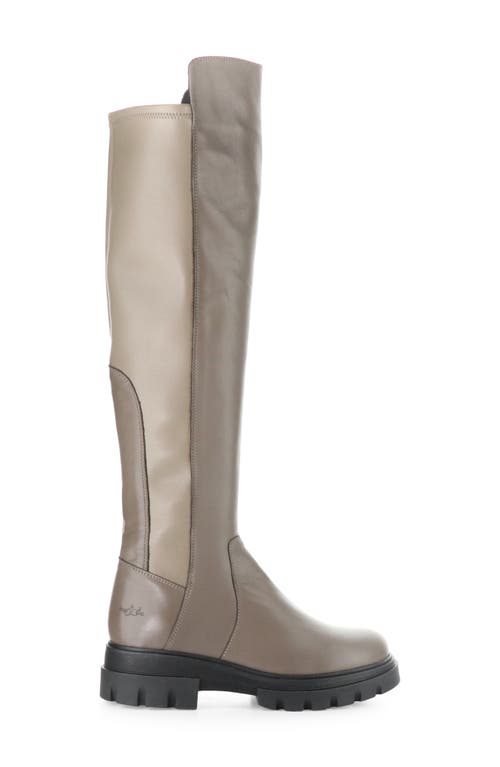 Bos. & Co. Fifth Waterproof Knee High Boot In Neutral