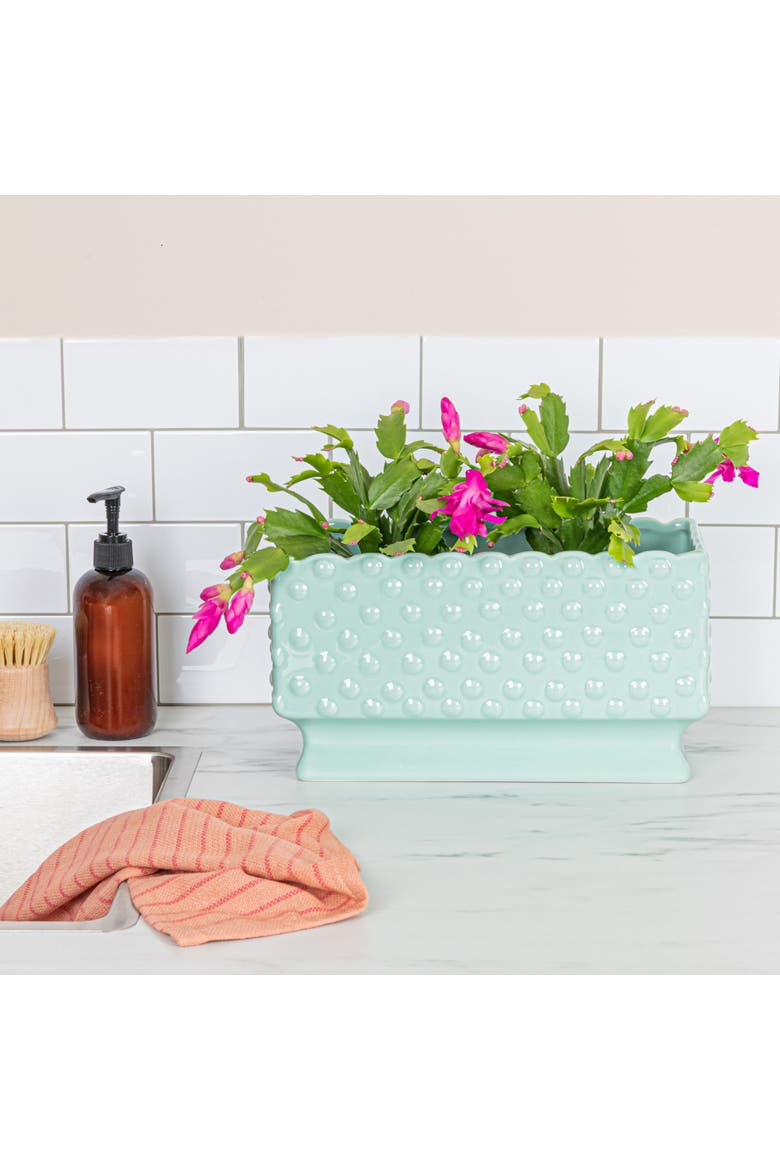Ceramic Hobnail Planter with Scalloped Edge and Polka Dots, Mint, Alternate, color, Blue