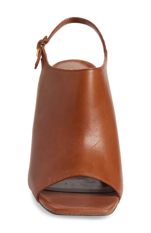 Vince Camuto Haliza Slingback Sandal In Brown
