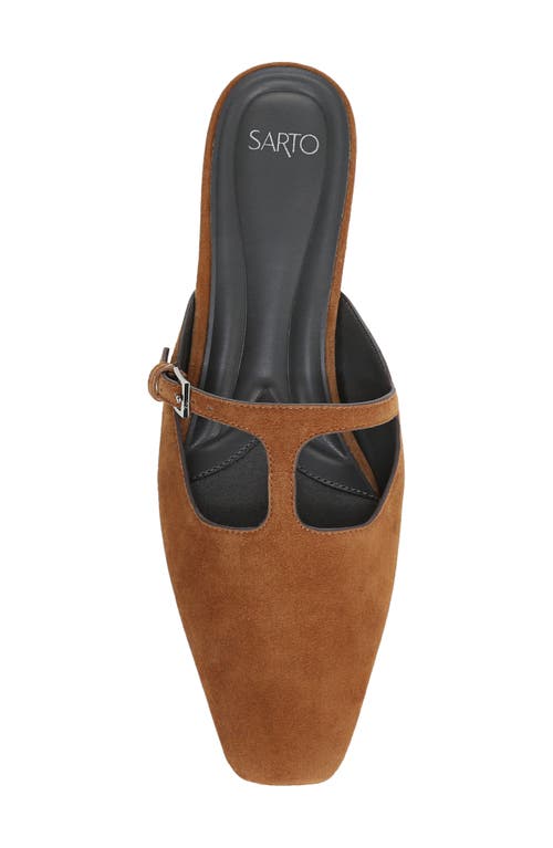 Sarto By Franco Sarto Dorthea T-strap Mule In Brown