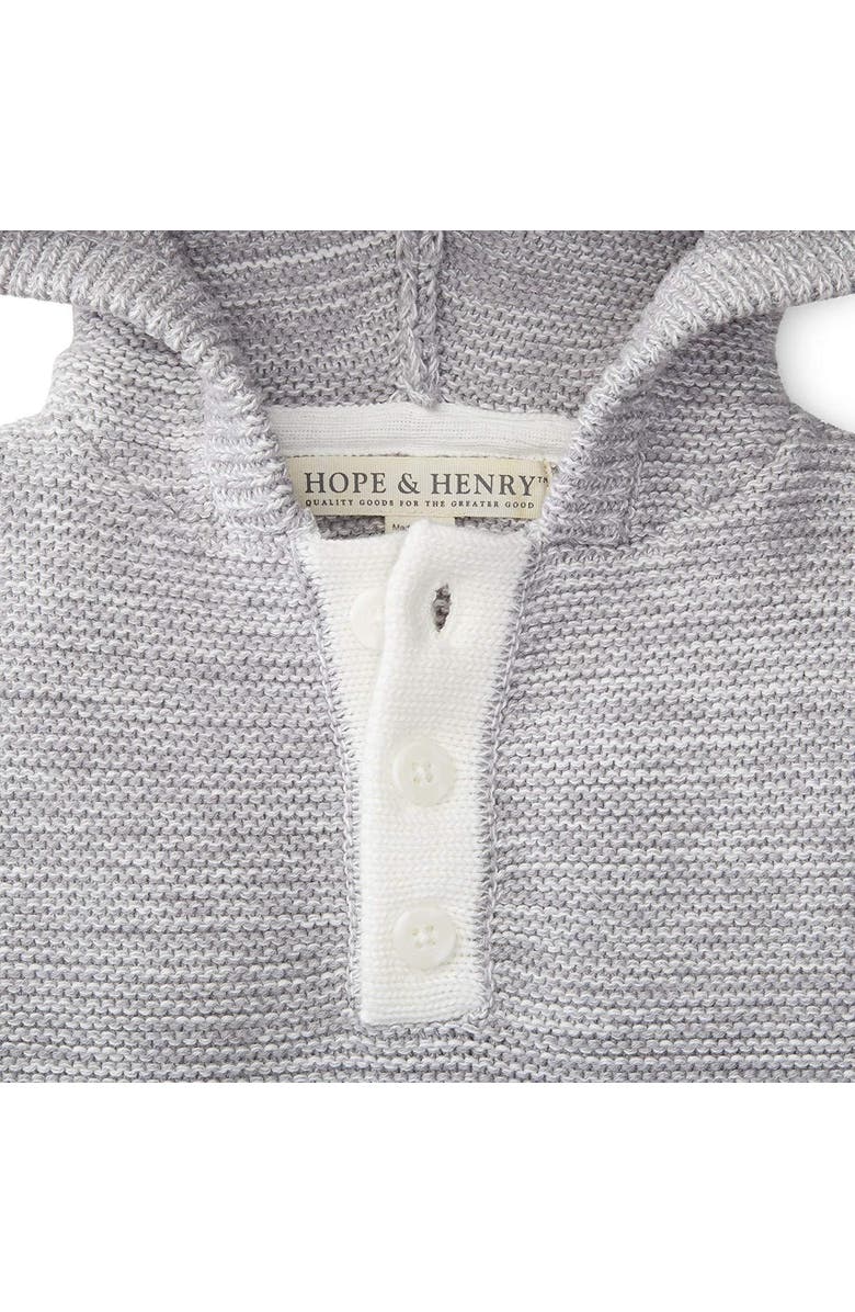 Hope & Henry Baby Boys' Hooded Pullover Sweater, Infant, Alternate, color,
