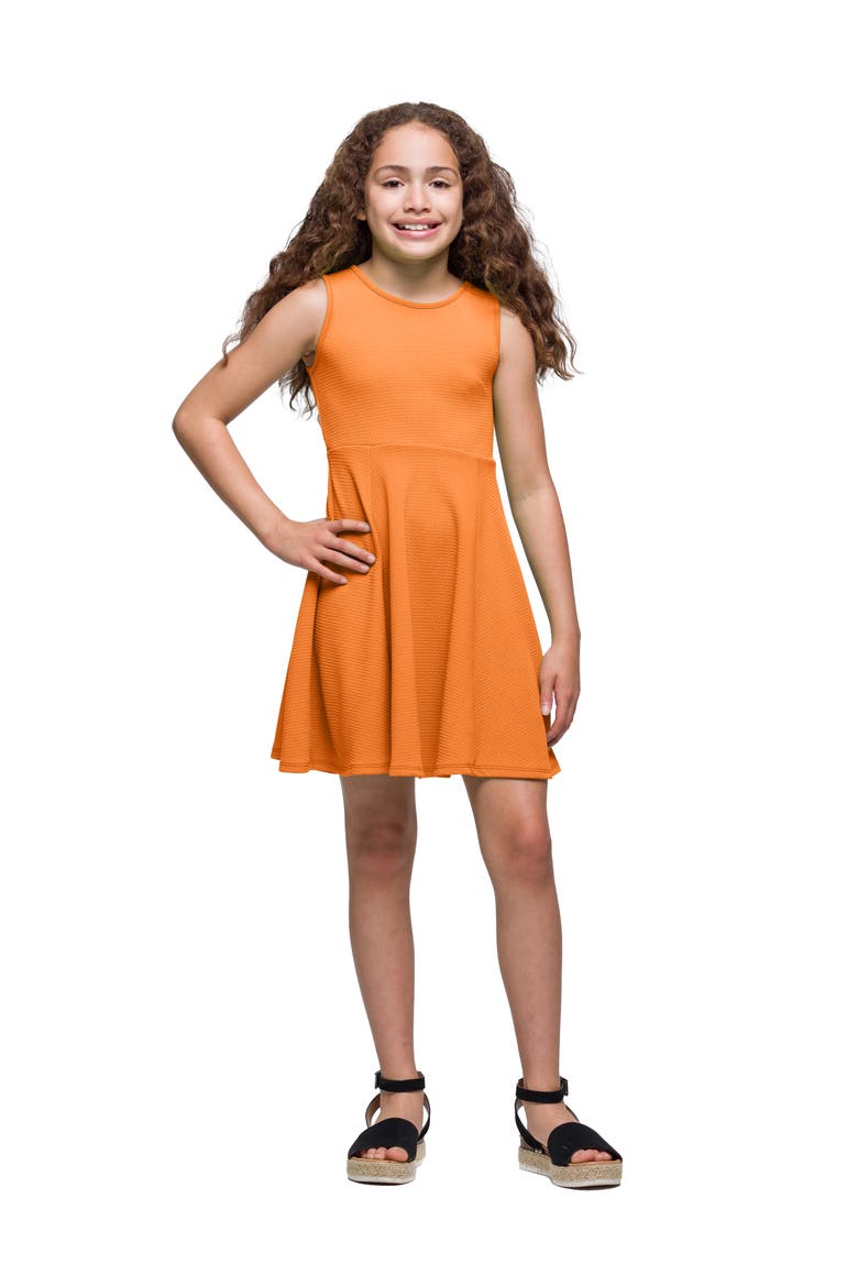 Sleeveless Knee Length Fit and Flare Dress, Main, color, Orange